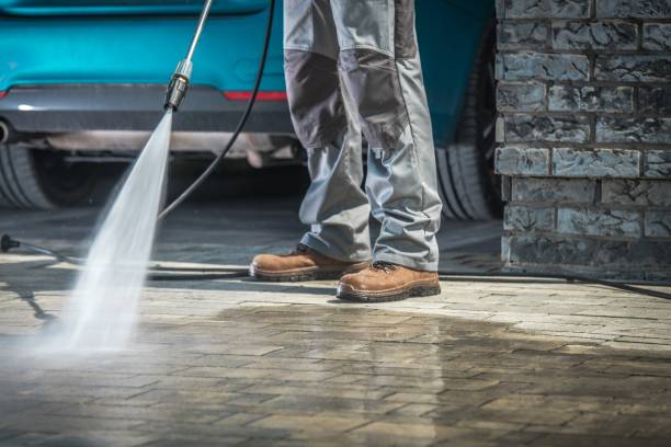Best Winterizing Services  in Carlinvle, IL